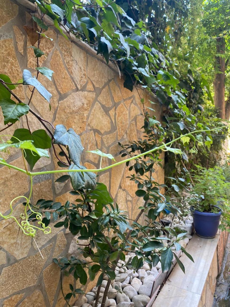 Olive Tree Apartment Sarandë Exterior foto